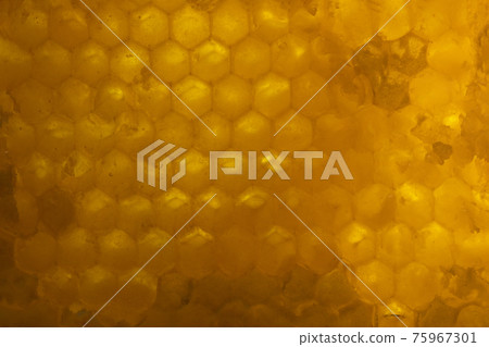 pattern of part of wax honeycomb filled with golden honey pattern of part of wax honeycomb filled with golden honey 75967301