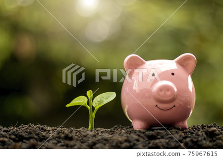 Tree growing on soil with green nature background money saving concept. Tree growing on soil with green nature background money saving concept. 75967615