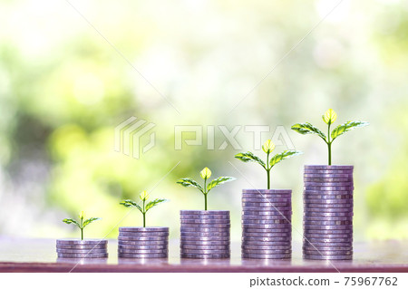 A tree growing on a pile of coins and coin graphs money ideas and financial growth. A tree growing on a pile of coins and coin graphs money ideas and financial growth. 75967762