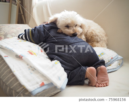 A dog snuggling up to a baby 75968156