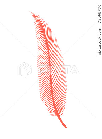 Coral detailed feather of bird. Vector decorative fluffy pink feather of flamingo or goose. Plume icon isolated on white background 75969770