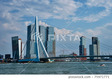 View of Rotterdam sityscape with Erasmusbrug bridge over Nieuwe Maas and modern architecture skyscrapers 75971771