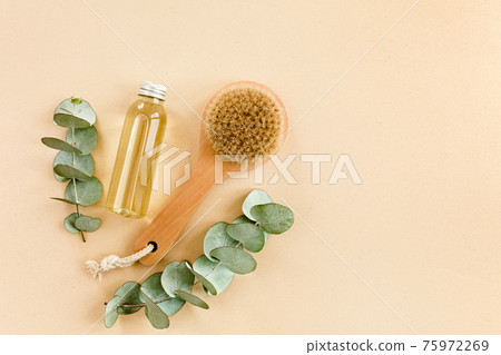 Spa treatment concept. Natural, Organic spa cosmetics products with eucalyptus oil, sea salt, massage brush, eucalyptus leaf extract. Spa background 75972269
