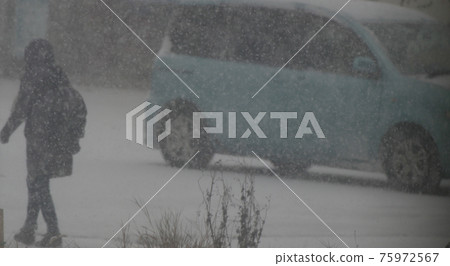 Winter car Winter car 75972567
