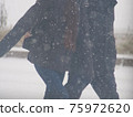 Snowstorm walker 75972620