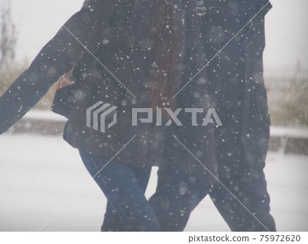 Snowstorm walker Snowstorm walker 75972620
