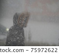 Snowstorm walker 75972622
