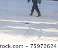 Snowstorm walker 75972624