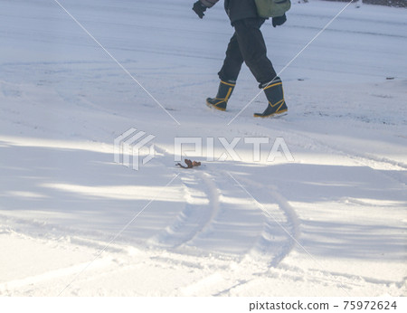 Snowstorm walker Snowstorm walker 75972624