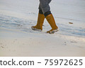 Snowstorm walker 75972625