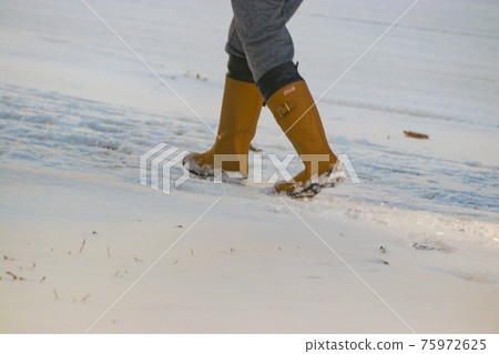Snowstorm walker Snowstorm walker 75972625