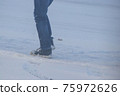 Snowstorm walker 75972626