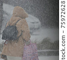 Snowstorm walker 75972628