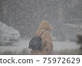 Snowstorm walker 75972629