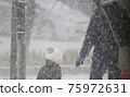 Snowstorm walker 75972631