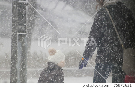 Snowstorm walker Snowstorm walker 75972631
