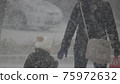 Snowstorm walker 75972632