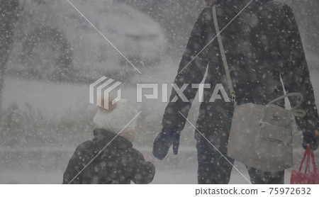 Snowstorm walker 75972632