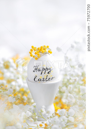 white Easter egg among white and yellow flowers. plaster and mimosa. 75972700