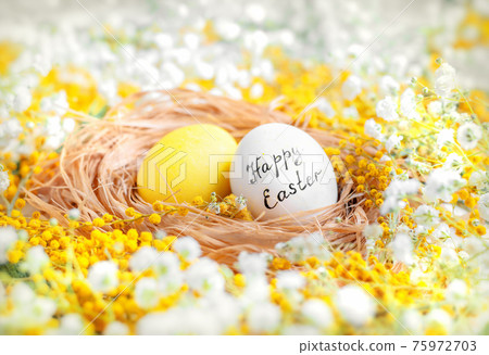 yellow Easter eggs among white and yellow flowers. plaster and mimosa. yellow Easter eggs among white and yellow flowers. plaster and mimosa. 75972703