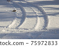 Winter tire footprints 75972833