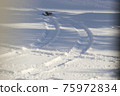 Winter tire footprints 75972834