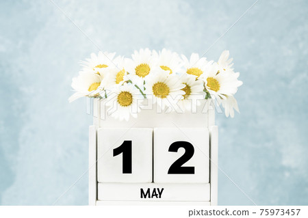 cube calendar for May with daisy flowers over blue with copy space cube calendar for May with daisy flowers over blue with copy space 75973457