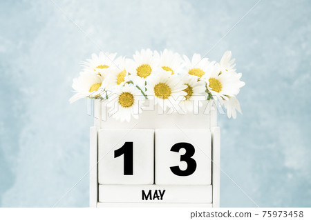 cube calendar for May with daisy flowers over blue with copy space cube calendar for May with daisy flowers over blue with copy space 75973458