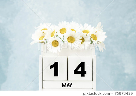 cube calendar for May with daisy flowers over blue with copy space cube calendar for May with daisy flowers over blue with copy space 75973459
