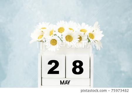 cube calendar for May with daisy flowers over blue with copy space cube calendar for May with daisy flowers over blue with copy space 75973482