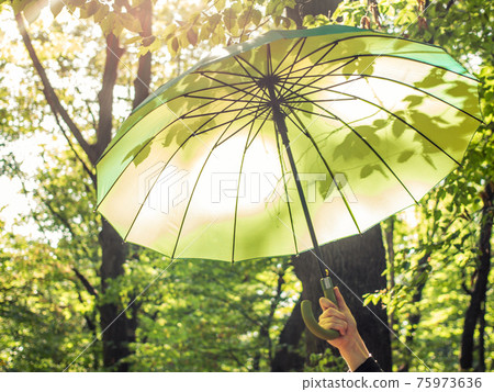 Open umbrella in hand on green nature background with leaf shadows. Bright parasol in sunny spring day concept. Summer light happy backdrop. Horizontal fresh springtime 75973636