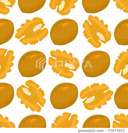 Illustration on theme big pattern identical types walnut Illustration on theme big pattern identical types walnut 75973931