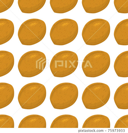 Illustration on theme big pattern identical types walnut Illustration on theme big pattern identical types walnut 75973933