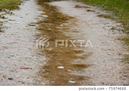 Puddles on the sand path in the rain Puddles on the sand path in the rain 75974688