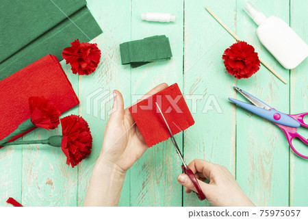 How to make a carnation flower at home. Hands make a red carnation. Step-by-step instruction. DIY children's art project 75975057