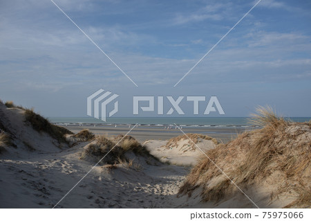 Beaches and land sailing seen from the dunes of northern France Beaches and land sailing seen from the dunes of northern France 75975066