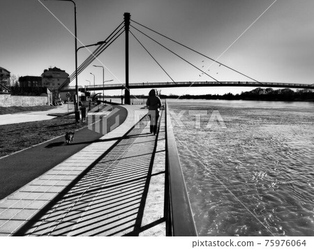 Bridge over the Sava river in Sremska Mitrovica, Serbia. Black and white monochrome photography in retro and vintage style. Reflections of rays on the water. Full-flowing river. Sun in the sky. Bridge over the Sava river in Sremska Mitrovica, Serbia. Black and white monochrome photography in retro and vintage style. Reflections of rays on the water. Full-flowing river. Sun in the sky. 75976064