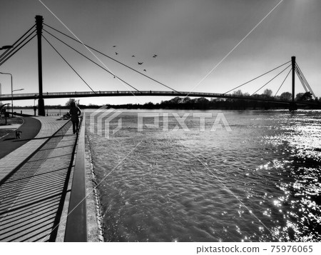 Bridge over the Sava river in Sremska Mitrovica, Serbia. Black and white monochrome photography in retro and vintage style. Reflections of rays on the water. Full-flowing river. Sun in the sky. Bridge over the Sava river in Sremska Mitrovica, Serbia. Black and white monochrome photography in retro and vintage style. Reflections of rays on the water. Full-flowing river. Sun in the sky. 75976065