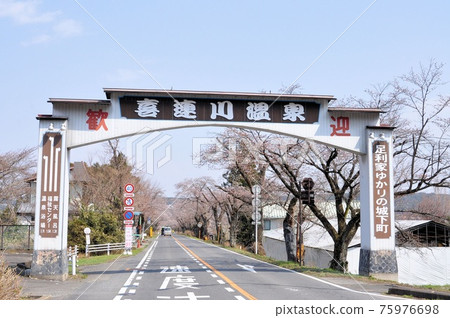 Kirengawa Saotome's row of cherry blossom trees Kirengawa Saotome's row of cherry blossom trees 75976698