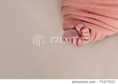 newborn 75977657