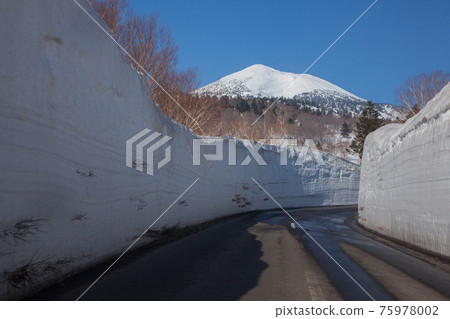 春天八甲田金線雪廊 75978002