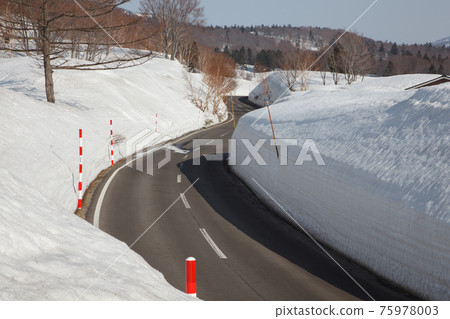 春天八甲田金線雪廊 春天八甲田金線雪廊 75978003