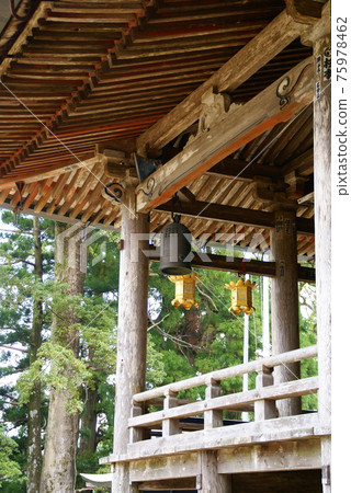 Aokogiji 75978462