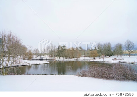 美國公園的雪景 75978596