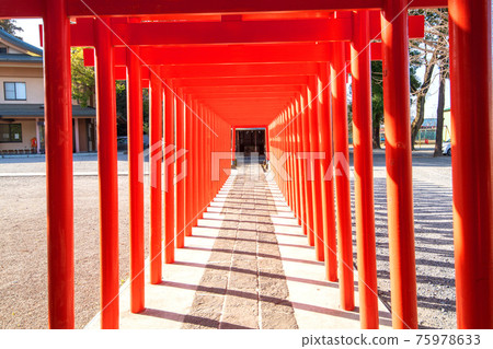 Yakyu Inari Shrine precincts Ukanomitama God Torii 75978633
