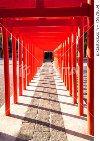 Yakyu Inari Shrine precincts Ukanomitama God Torii Yakyu Inari Shrine precincts Ukanomitama God Torii 75978634