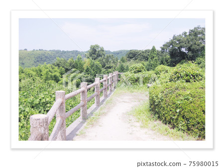 膠片攝影橋 膠片攝影橋 75980015