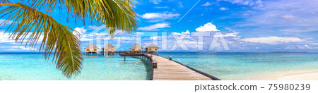 Water Villas (Bungalows) in the Maldives 75980239