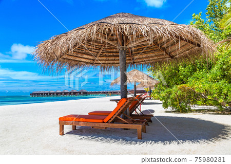 Sunbed and umbrella in the Maldives 75980281