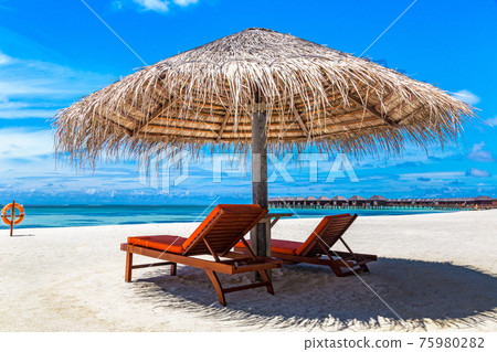 Sunbed and umbrella in the Maldives 75980282